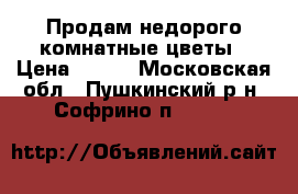 Продам недорого комнатные цветы › Цена ­ 400 - Московская обл., Пушкинский р-н, Софрино п.  »    